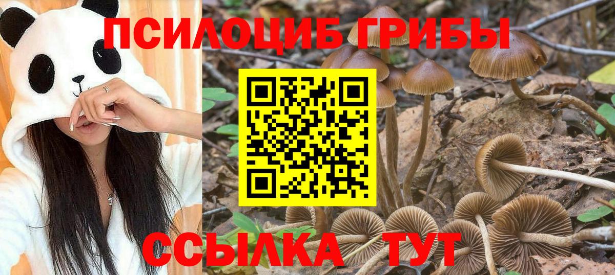 ГАШ Междуреченск