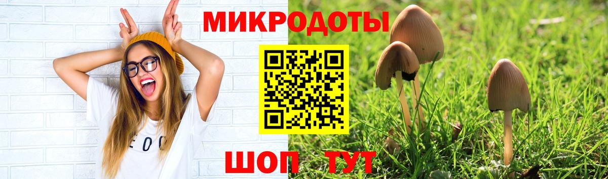 Междуреченск  Псилоцибиновые грибы Cubensis  Псилоцибиновые грибы прущие грибы  Вход с VPN 